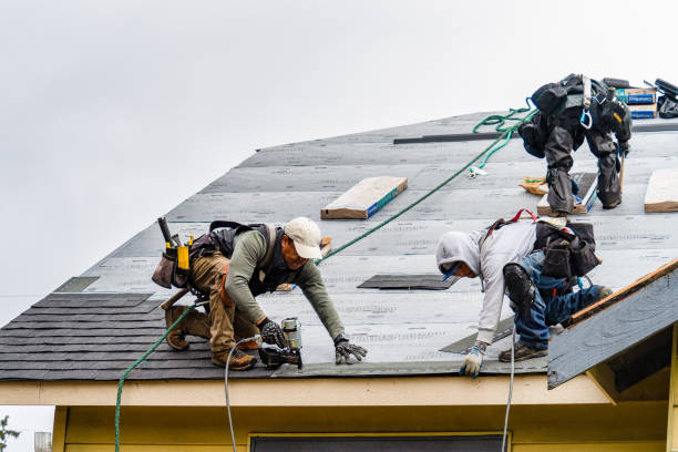 Professional Gutter Installation technician working in Verndale, MN